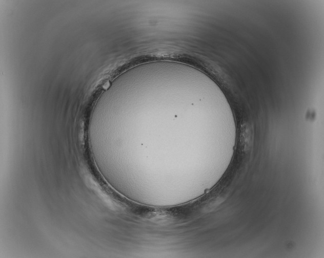 X0000113110589200909111117