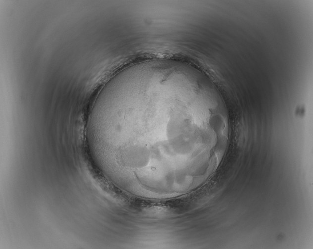 X0000113110594200909111117