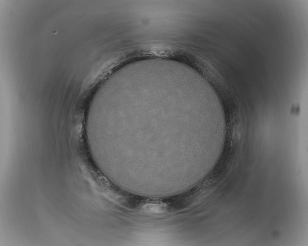 X0000113110595200909111117