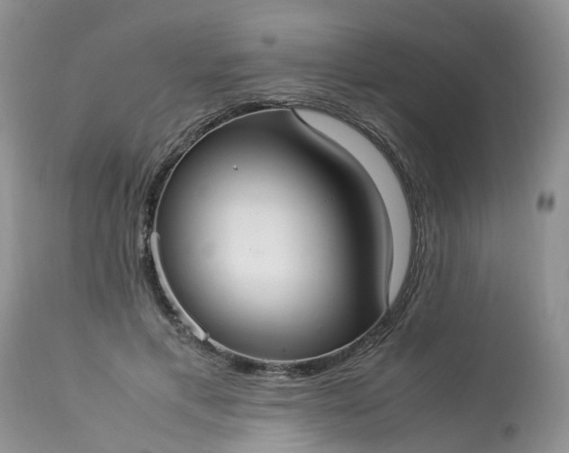 X0000113110597200909111117