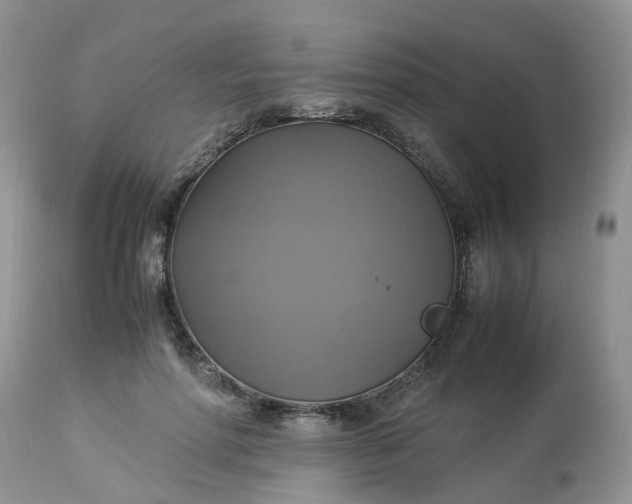 X0000113110598200909111117