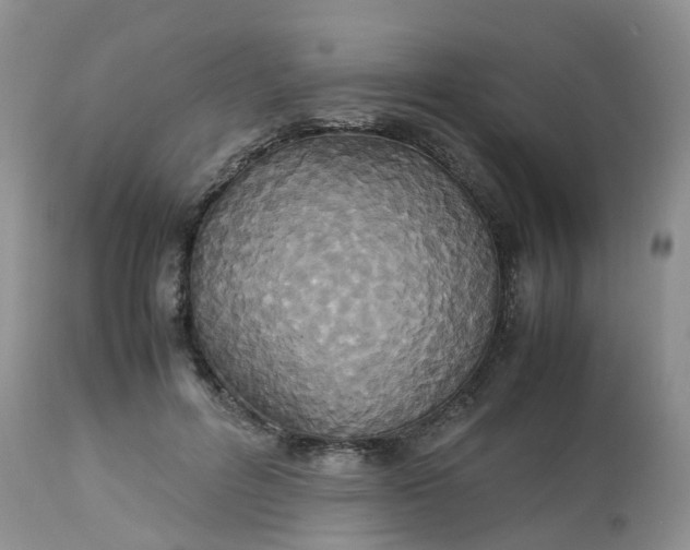 X0000113110600200909111117