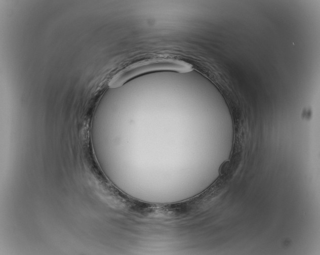 X0000113110601200909111117