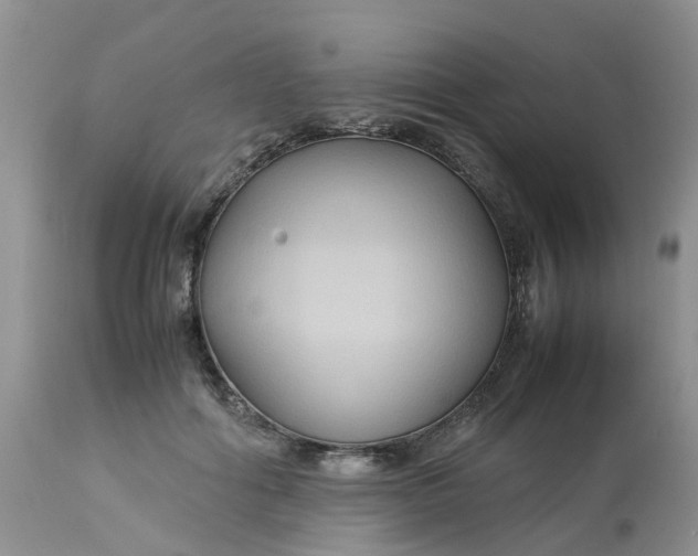 X0000113110602200909111117