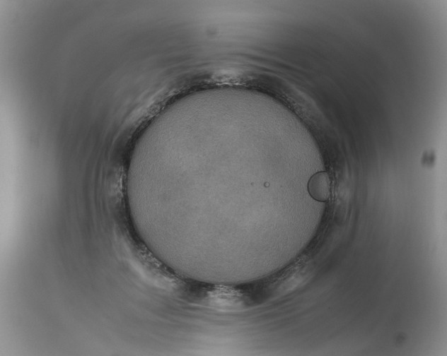 X0000113110603200909111117