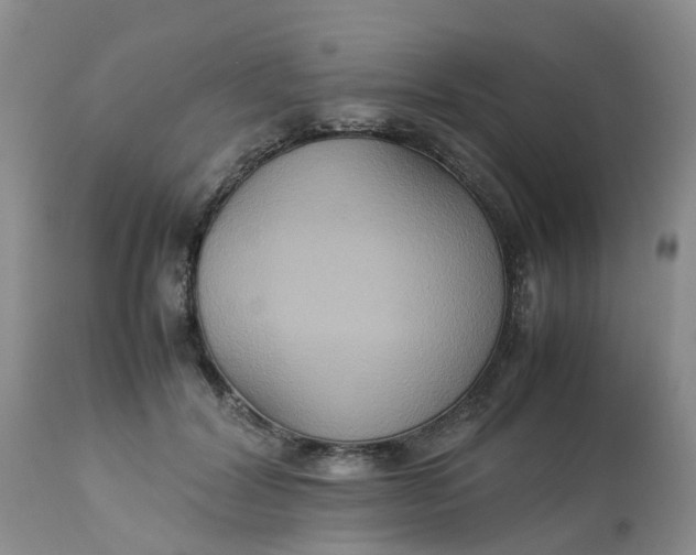 X0000113110604200909111117