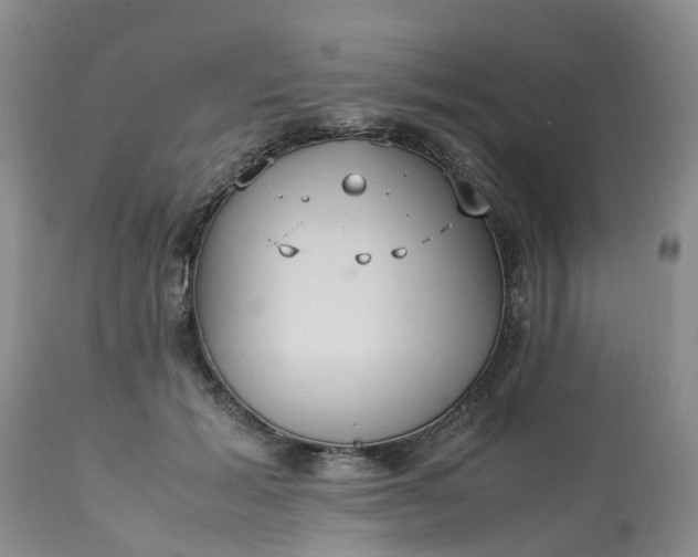 X0000113110605200909111117
