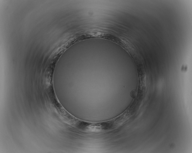 X0000113110606200909111117