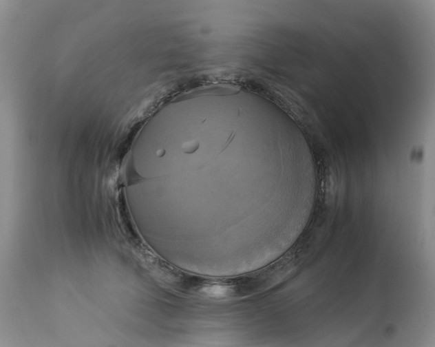 X0000113110610200909111116