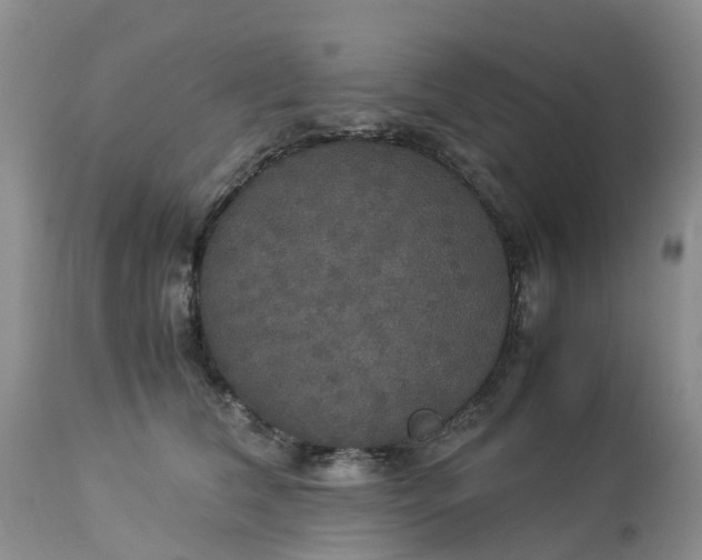 X0000113110612200909111116