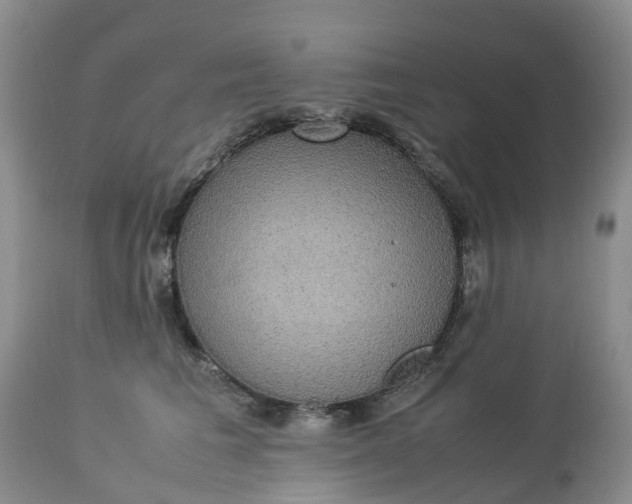 X0000113110613200909111116