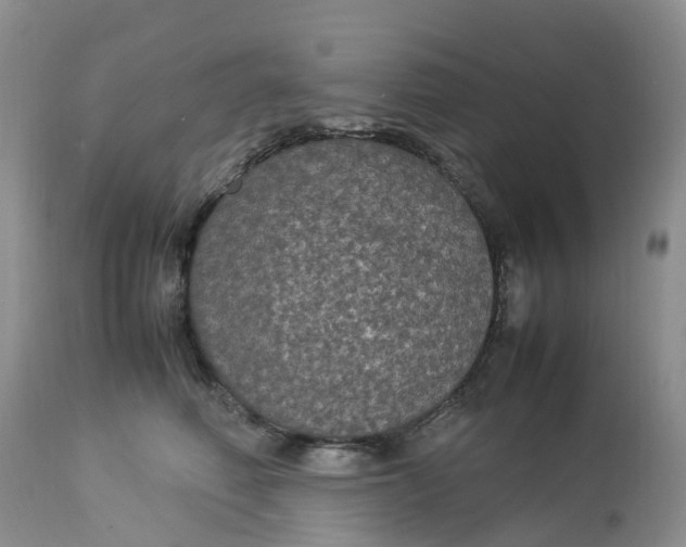 X0000113110614200909111116