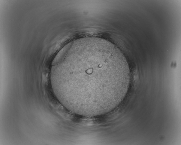 X0000113110615200909111116