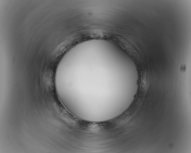 X0000113110616200909111116