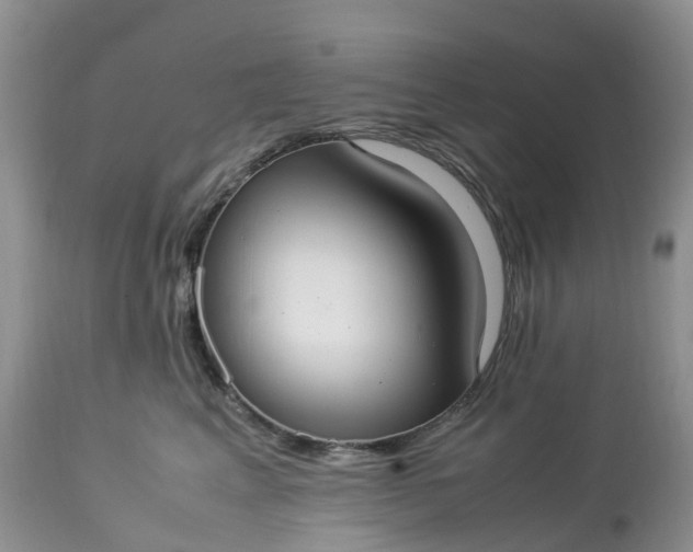 X0000113110617200909111116