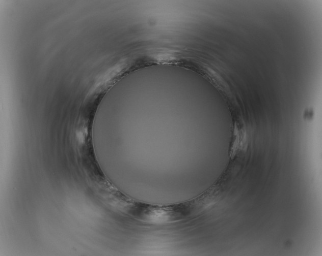 X0000113110618200909111116