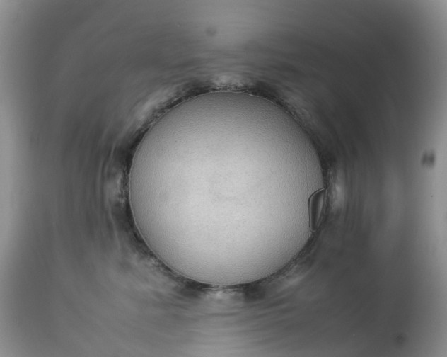 X0000113110619200909111116