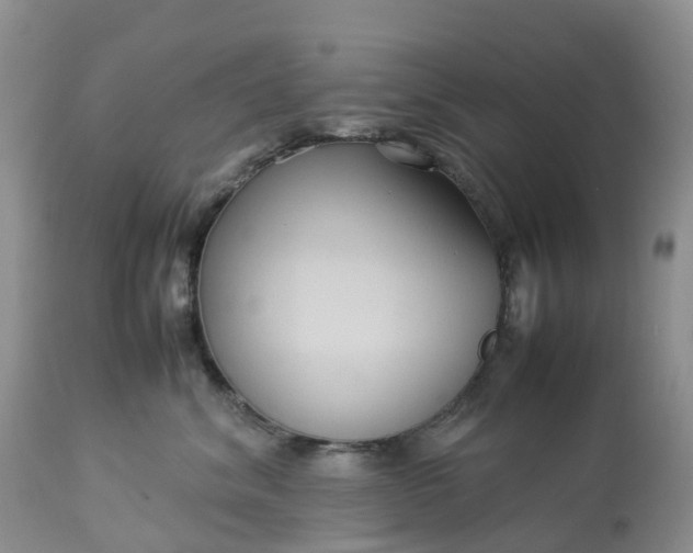X0000113110620200909111116