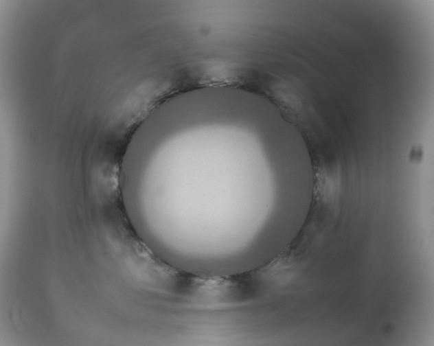 X0000113110621200909111116