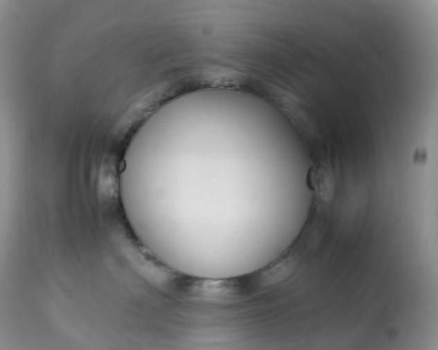 X0000113110622200909111116