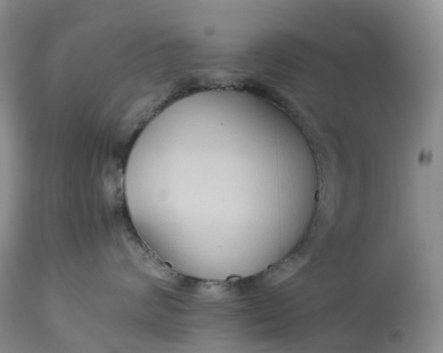 X0000113110624200909111116