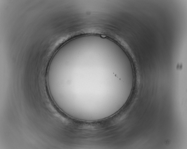 X0000113110625200909111116