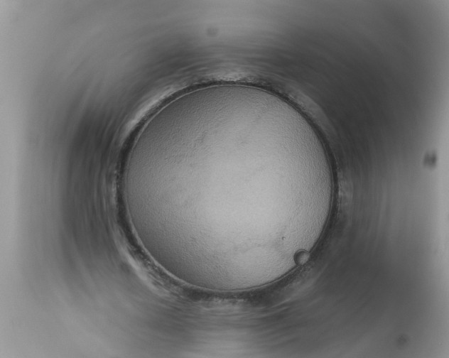 X0000113110626200909111116