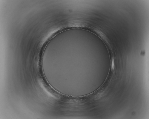 X0000113110627200909111116