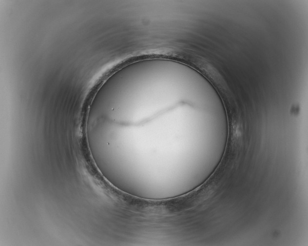 X0000113110628200909111116