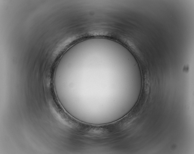 X0000113110631200909111116