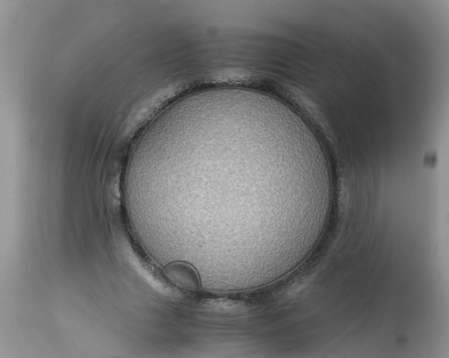 X0000113110633200909111116