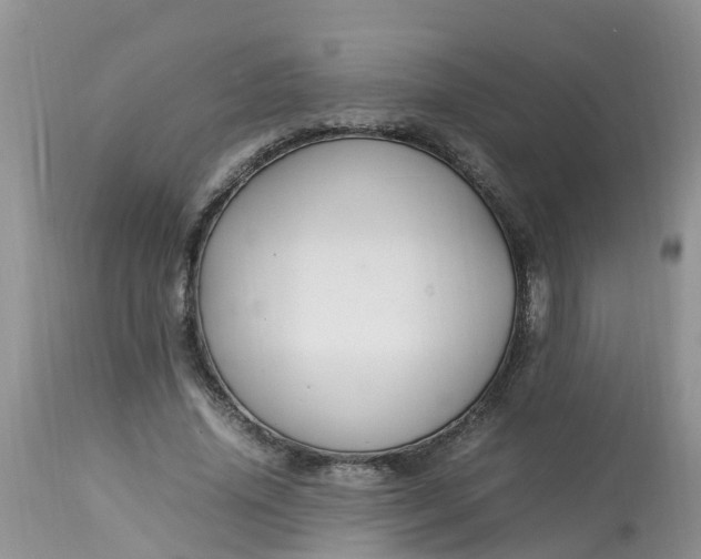 X0000113110636200909111116
