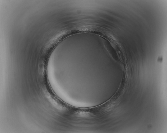 X0000113110637200909111116