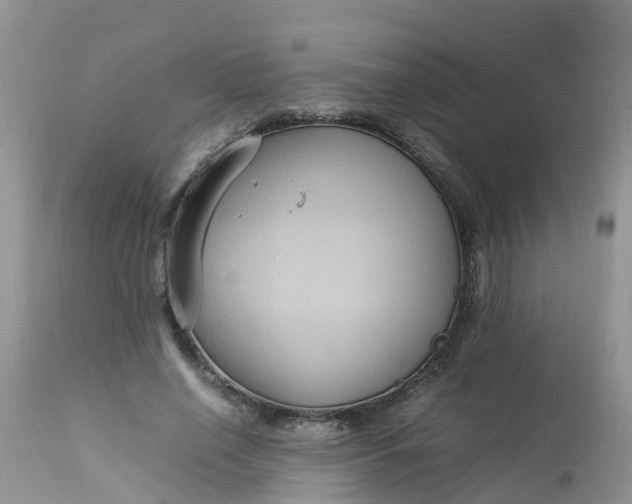X0000113110638200909111116