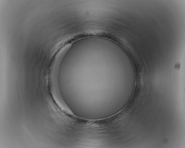 X0000113110640200909111116