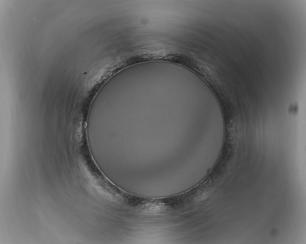 X0000113110642200909111116