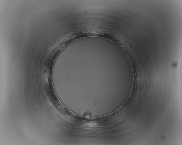 X0000113110643200909111116