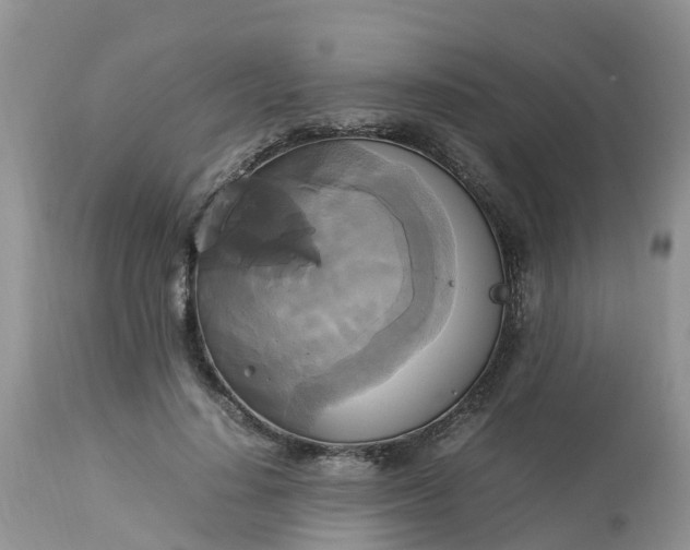 X0000113110644200909111116