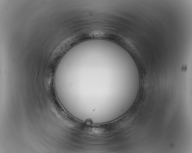 X0000113110645200909111116