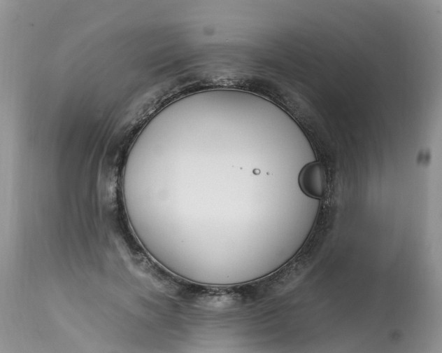 X0000113110646200909111116