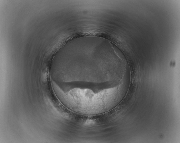 X0000113110647200909111116