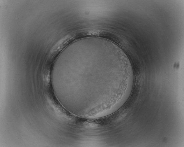 X0000113110648200909111116