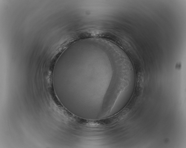 X0000113110650200909111116
