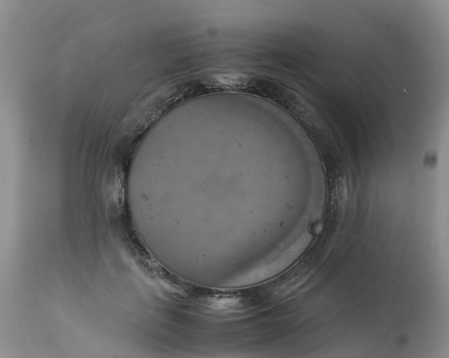 X0000113110651200909111116