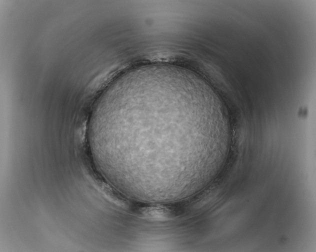 X0000113110652200909111116
