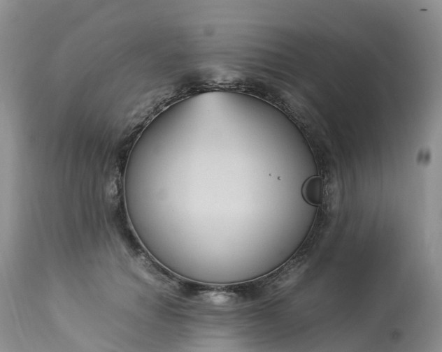 X0000113110654200909111116