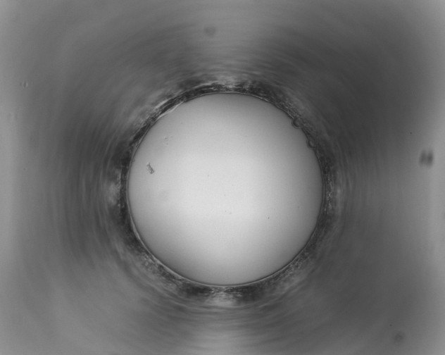 X0000113110656200909111116