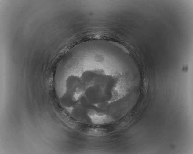 X0000113110657200909111116