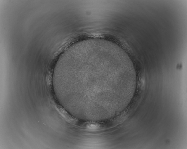 X0000113110658200909111116