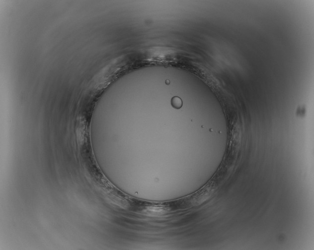 X0000113110659200909111116